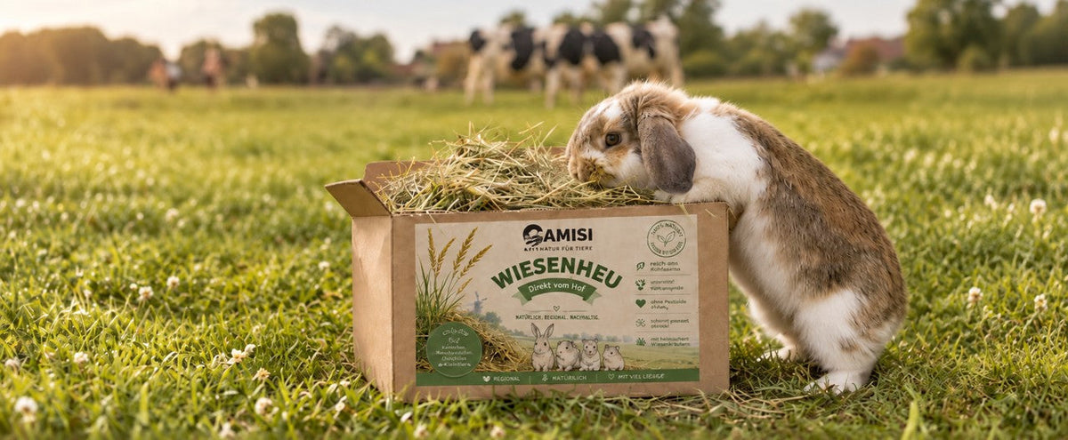 Wiesenheu auf einer Kuhwiesemit einem Kaninchen drauf