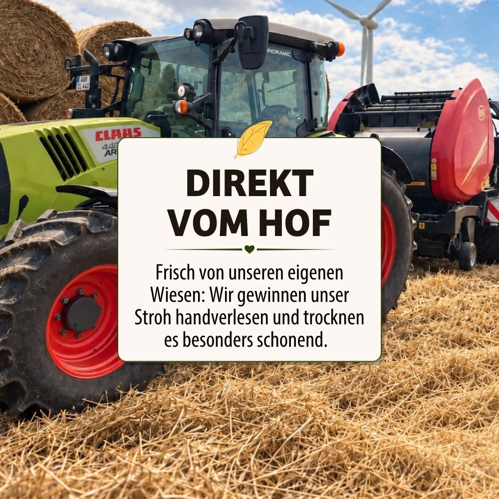 CAMISI Stroh Produktbild 3