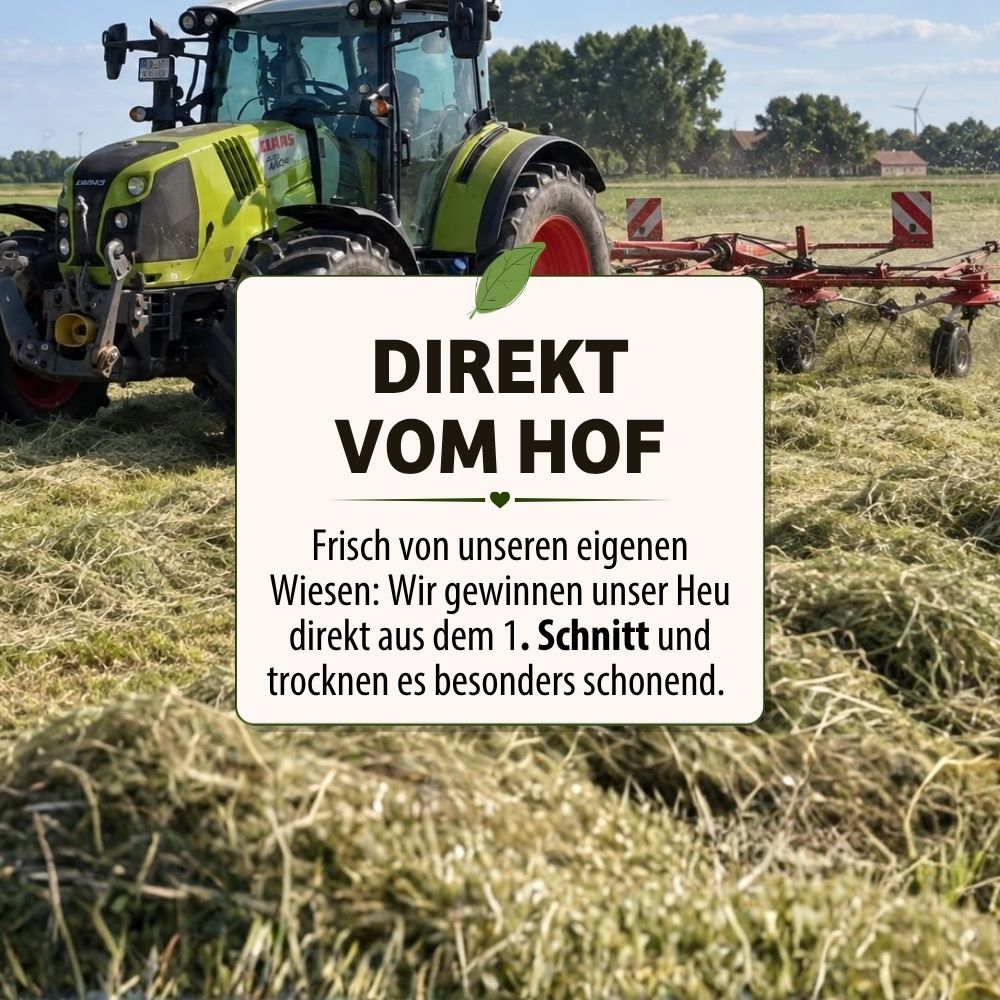 CAMISI Wiesenheu Produktbild 3