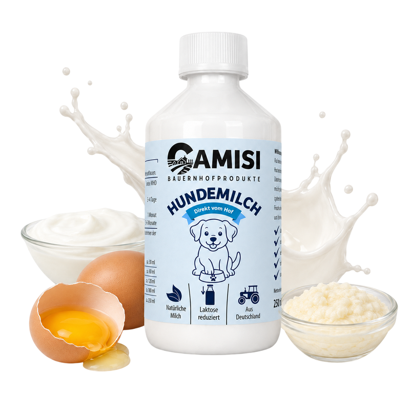 Hundemilch_mit_Zutaten
